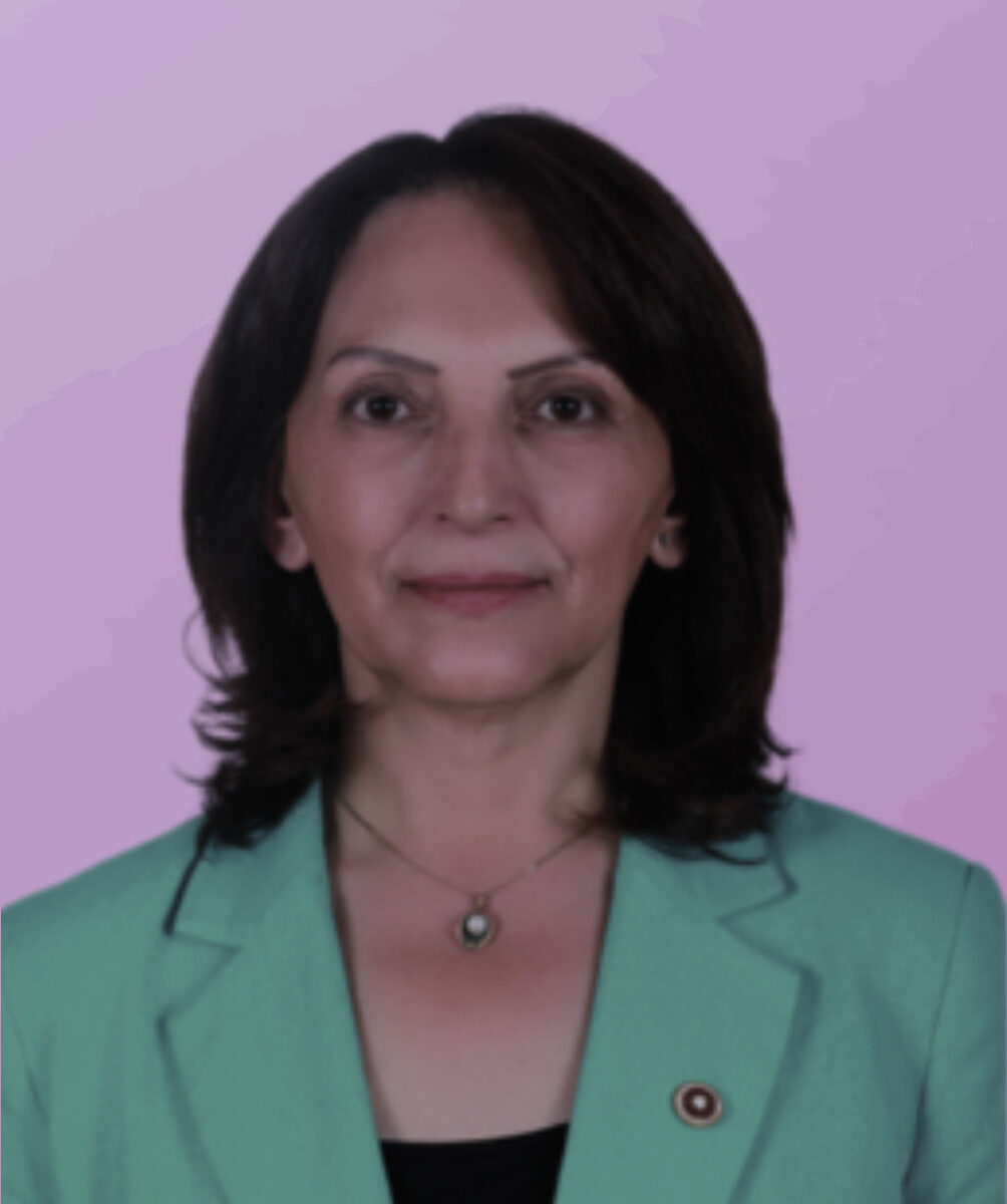 Aliye timisi ersever(1)
